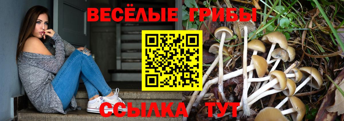Псилоцибиновые грибы мицелий Чапаевск