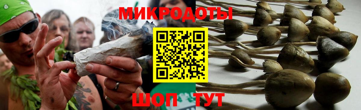 Чапаевск  Галлюциногенные грибы Cubensis  Вход с VPN 